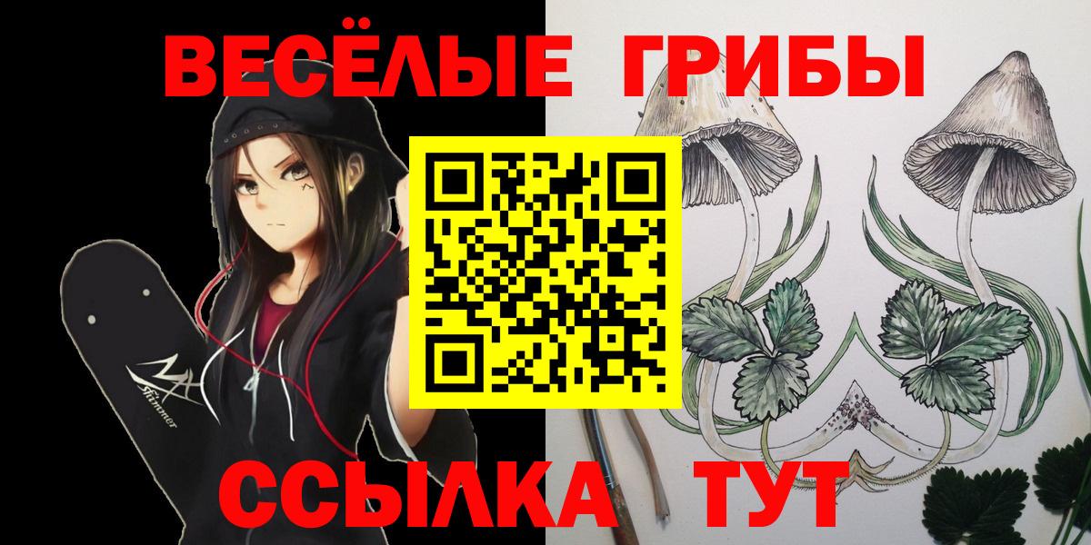 Галлюциногенные грибы Cubensis Бугульма
